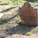 Elisabeth Spring Photo 7
