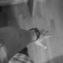 Hector Brito Photo 23