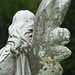 Mary Wing Photo 13
