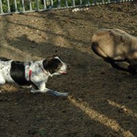 Kim Rhoades Photo 8