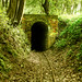 Gregory Sharp Photo 47