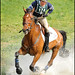Boyd Martin Photo 9