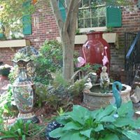 Phyllis Graham Photo 26