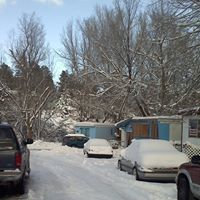 Bruce Reynolds Photo 41