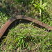 Sherman Lay Photo 2