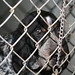 Rhonda Anderson Photo 5