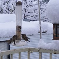Carl Rasmussen Photo 20