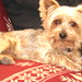 Brandy Gray Photo 15