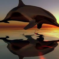 Debra Meeks Photo 9