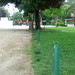 Deborah Rossi Photo 18