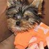 Max Mccombs Photo 3