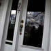 Jeremy Hubbell Photo 9