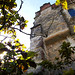 Daniel Gooding Photo 10