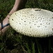 Tracy Bare Photo 9