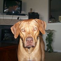 Tracy Rapp Photo 13
