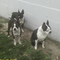 Debbie Nolen Photo 22
