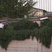 Larry Gallegos Photo 7