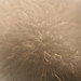 Angela Feathers Photo 8