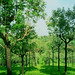 Gireesh Kumar Photo 27