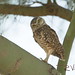 Rick Burrows Photo 20