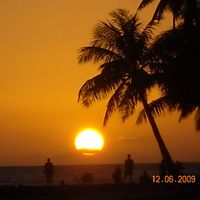Roy Morris Photo 19