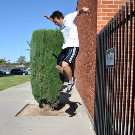 Daniel Chow Photo 32