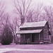 Robert Scruggs Photo 15