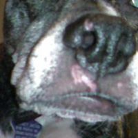 Sidney Bean Photo 18