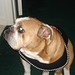 Cindy Haley Photo 22