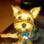 Brenda Butler Photo 7