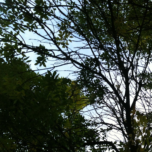 Kimberly Skaggs Photo 21
