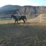 Lori Proctor Photo 37