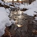 Patrick Fitzpatrick Photo 23