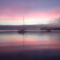 Ross Knowles Photo 4