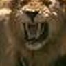 Matthew Cerullo Photo 2