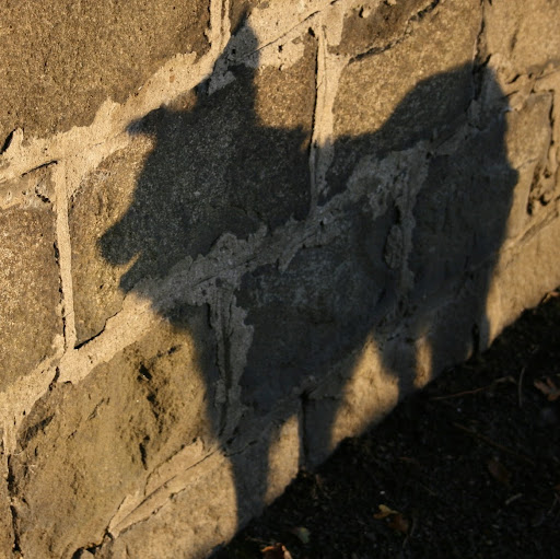 Jane Reid Photo 36