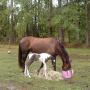 Geraldine Robinson Photo 28
