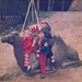 Paul Tracey Photo 14