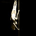 Bobbi Felix Photo 9