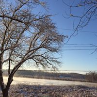 Nancy Sommers Photo 7