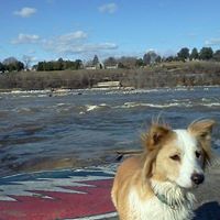 Elizabeth Hendrick Photo 7