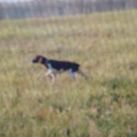Kent Morris Photo 15