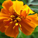 Deborah Sharp Photo 20