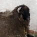 Reem Eid Photo 26