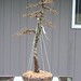 Bryan Albright Photo 10