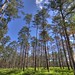 Sam Houston Photo 8