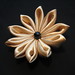 Susan Combs Photo 44