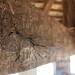 Mark Beam Photo 8