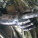 John Lian Photo 28