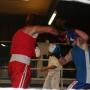 David Finlay Photo 15